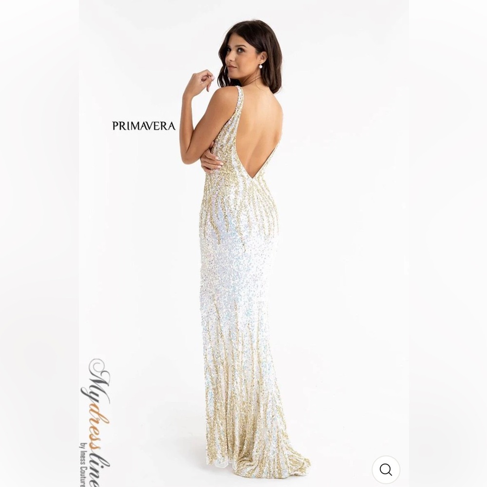 Long Sparkly Dress